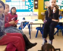 Puff The Magic Dragon - Third Class