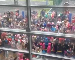 Fit Friday 12/02/2016