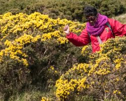 Hill Walking - April  May 2016